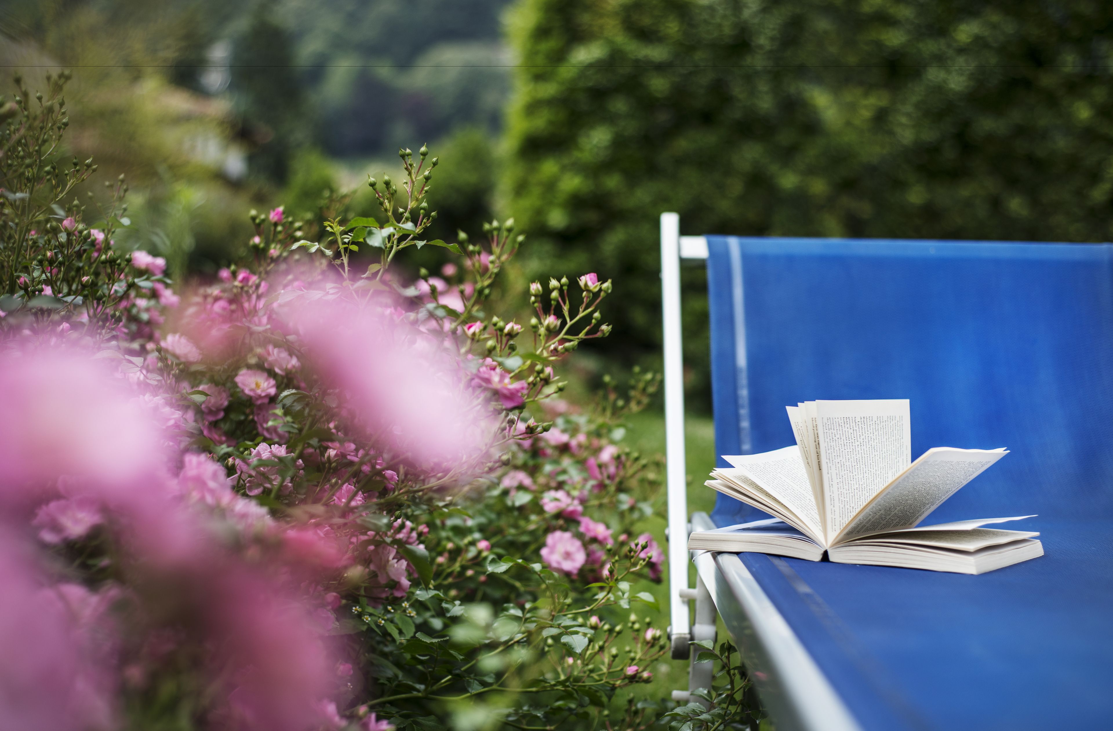on the beach, white sand, beach umbrellas