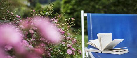 A blue chair with an open book.