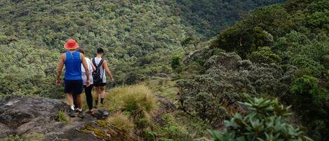 Two people hiking on a rocky path surrounded by dense forest.