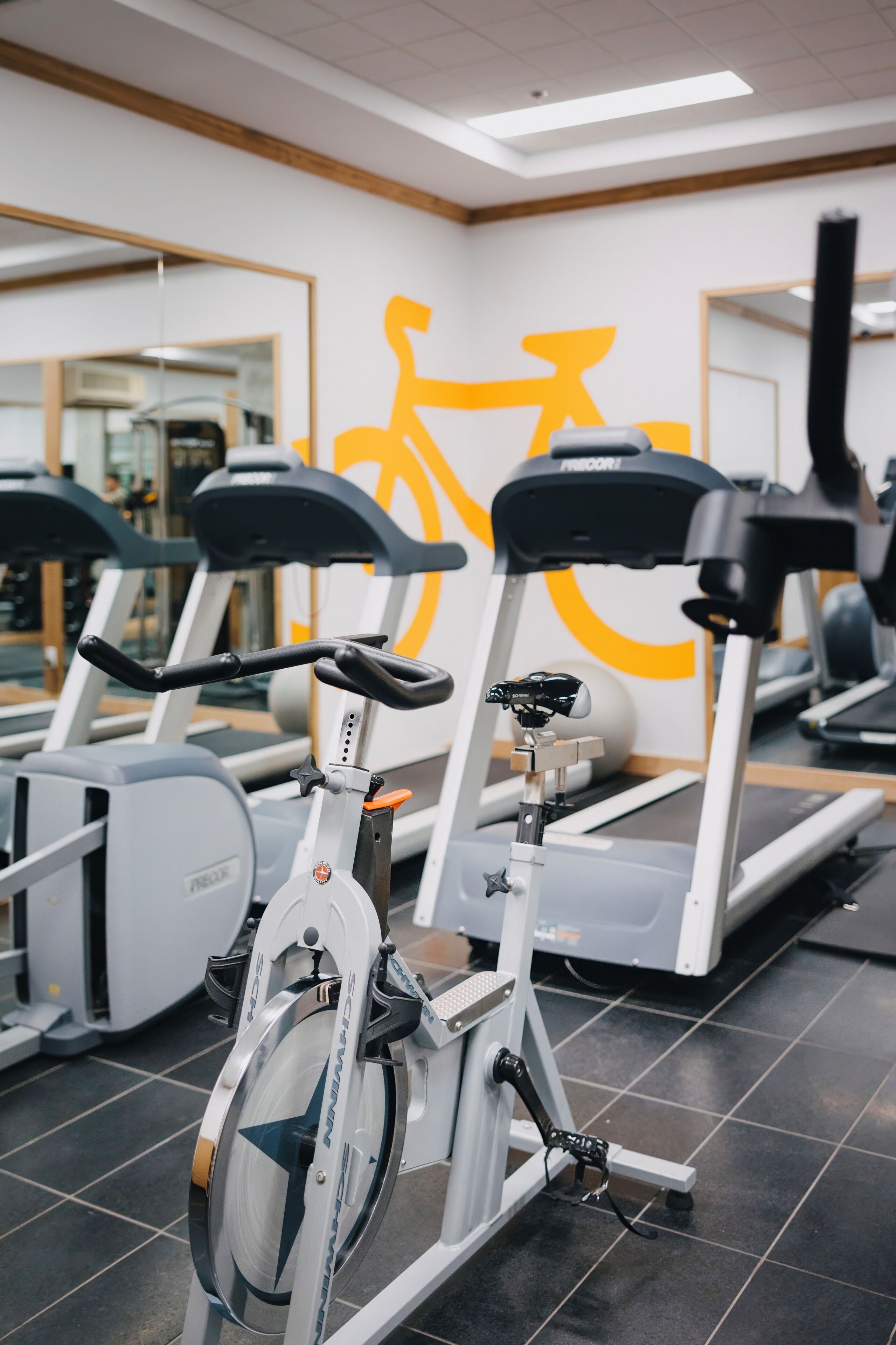 Una palestra con cyclette e tapis roulant, un grande specchio e un muro con il simbolo di una bicicletta.