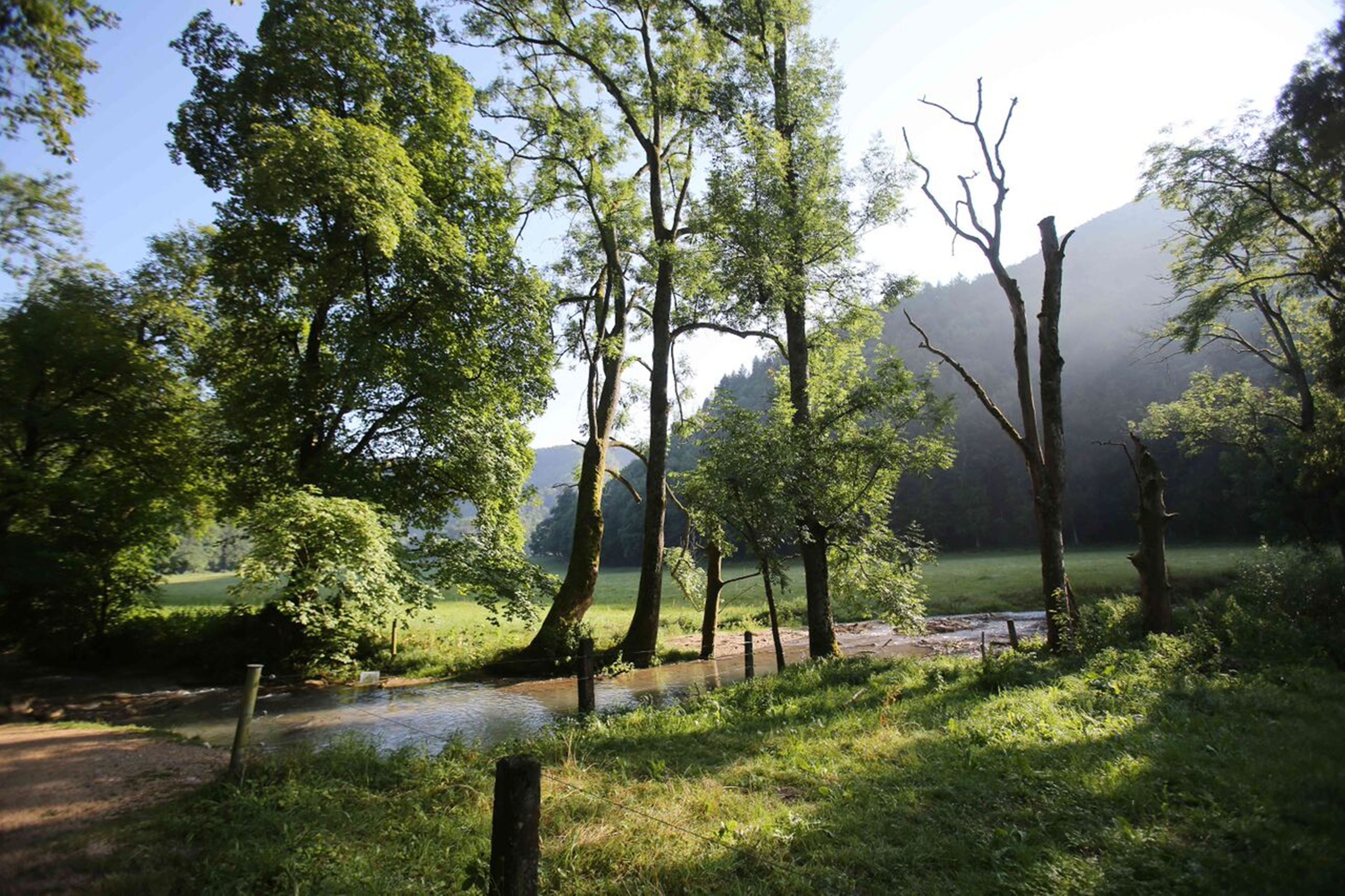 A natural landscape with a river, trees, and a grassy field.