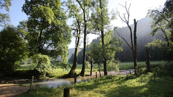 A natural landscape with a river, trees, and a grassy field.