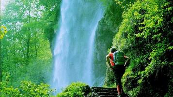 Une personne se tient sur un escalier en pierre, surplombant une cascade dans une forêt verdoyante et luxuriante.