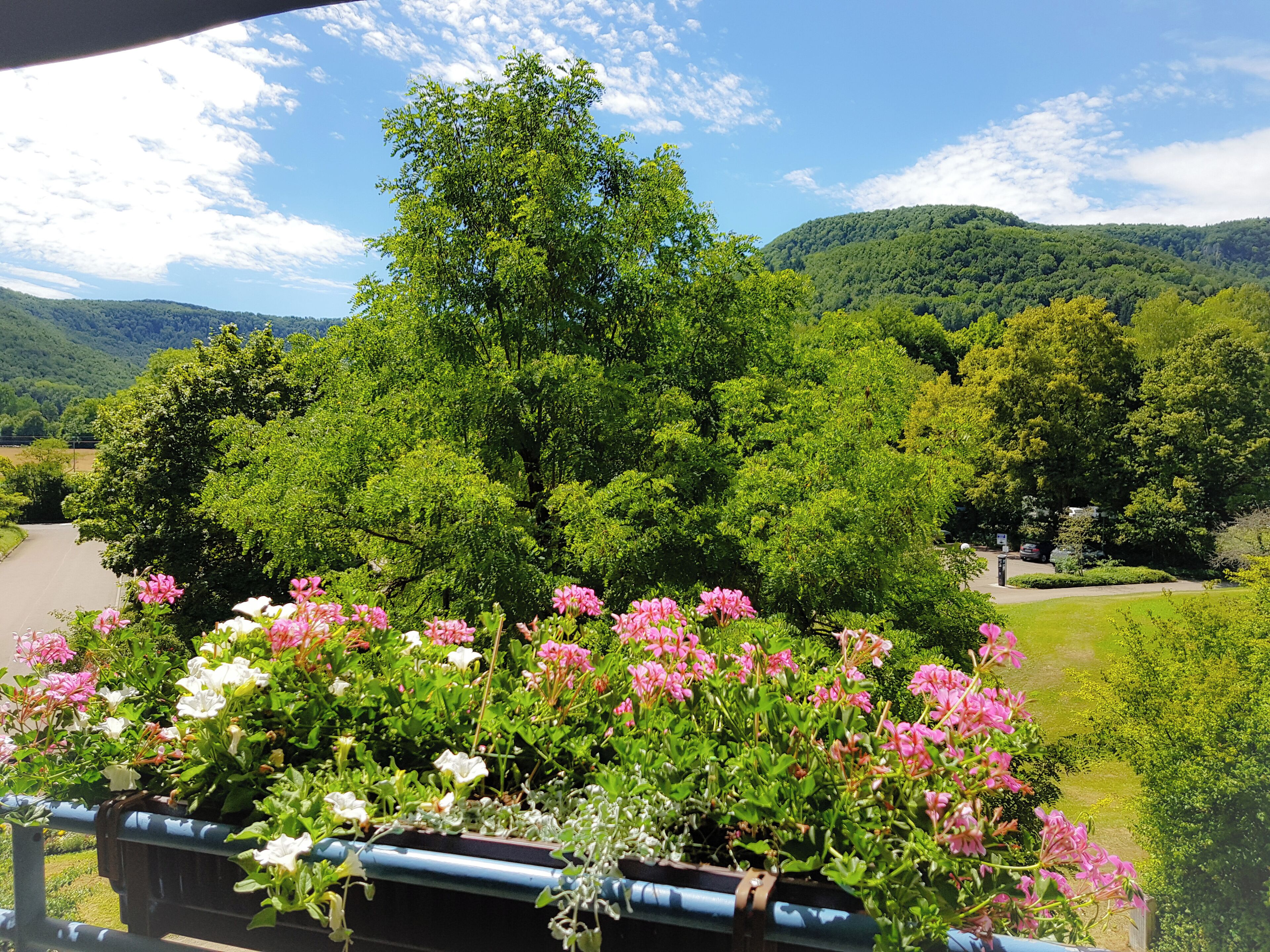 Ein Balkon mit Blick auf eine üppige, grüne Landschaft, darunter Bäume und eine Straße.
