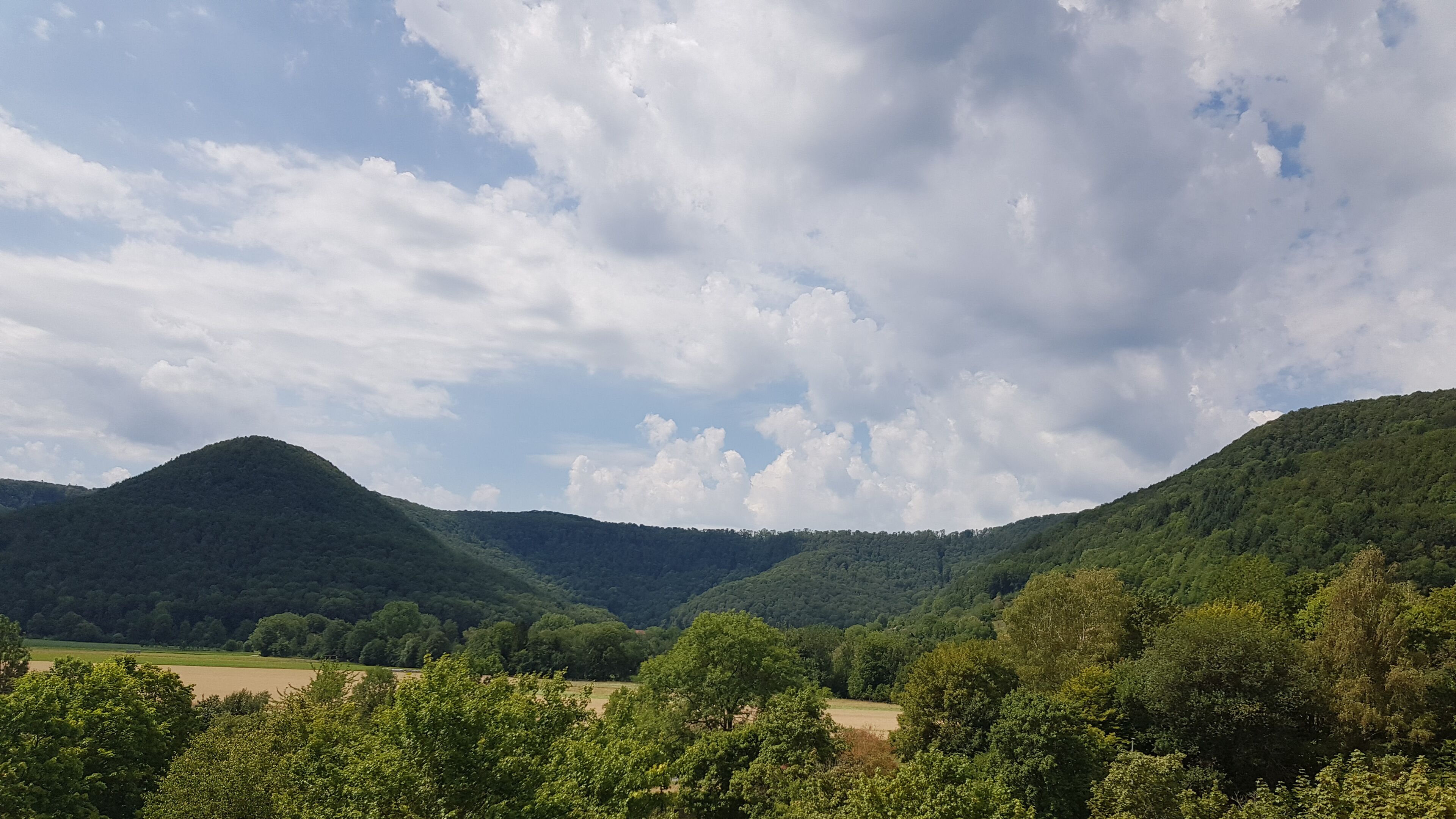 Eine Landschaft mit sanften Hügeln und einem Feld im Vordergrund.