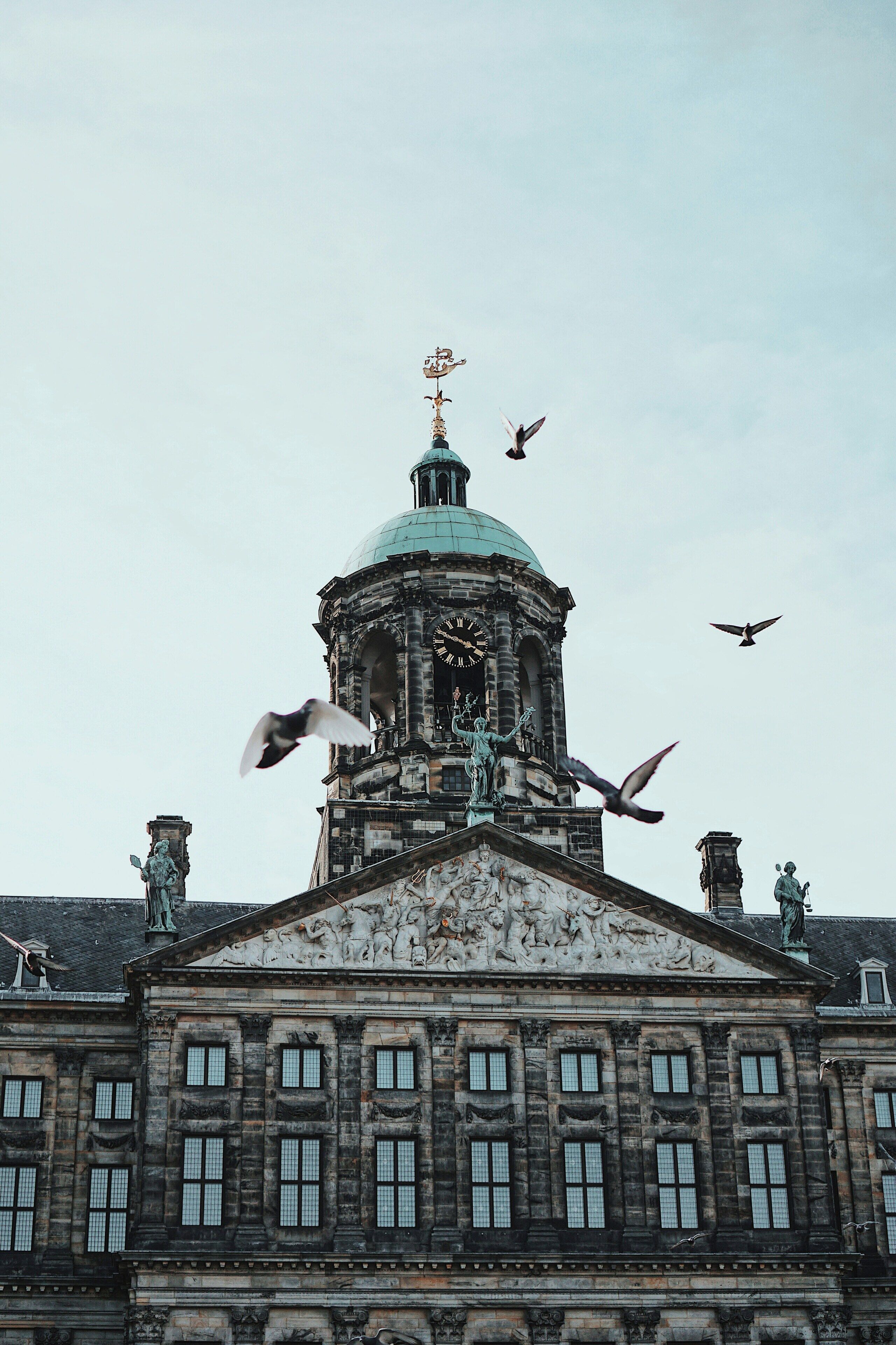 Photo - Hotel Roemer