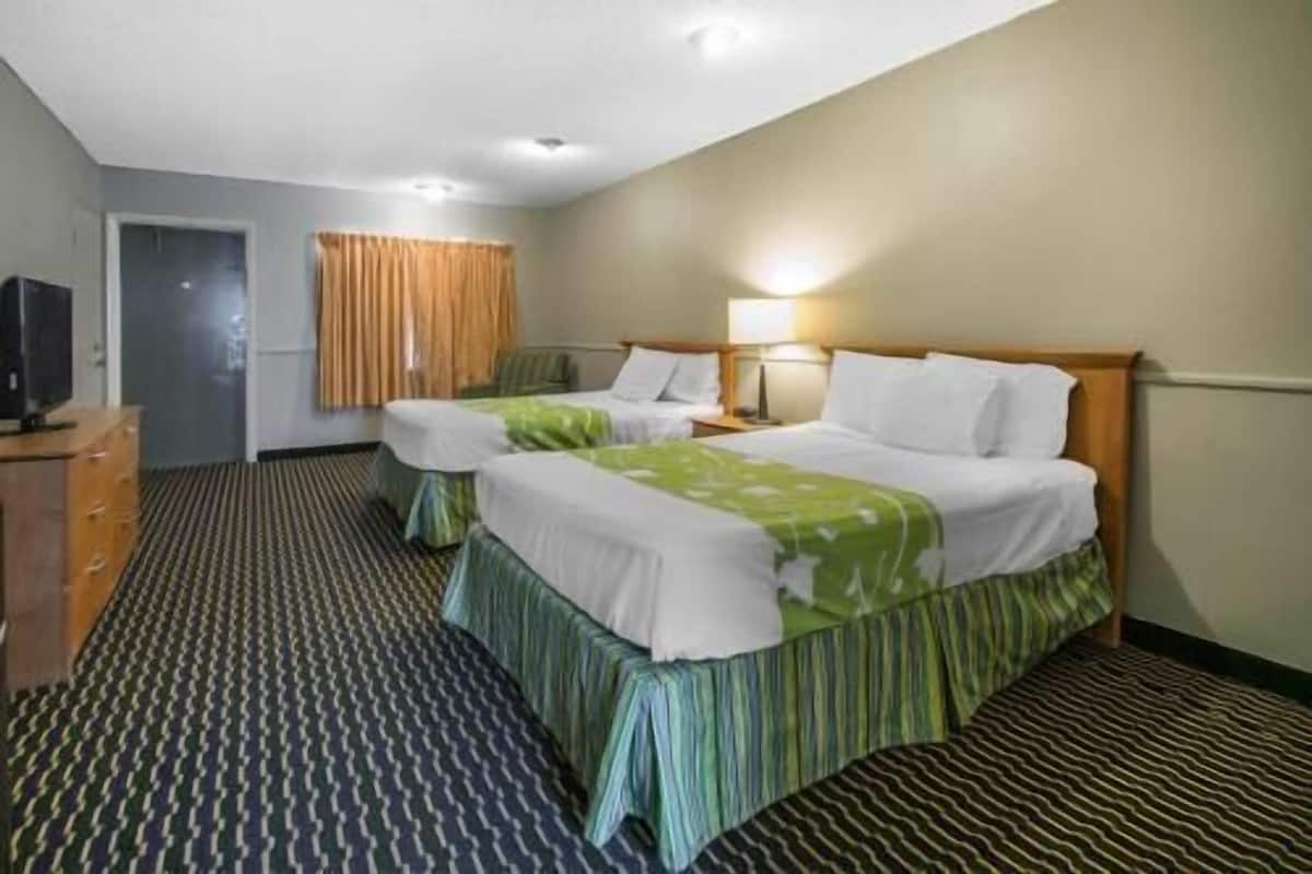 A hotel room with two beds, a television, a desk, and a patterned carpet.
