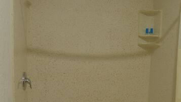 A shower with a handheld showerhead, a glass-enclosed medicine cabinet, and a drain at the bottom.