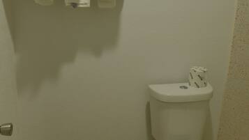 Een badkamer met een toilet, een handdoekhouder en een wc-papierhouder.