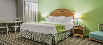 Rodeway Inn & Suites Winter Haven Chain Of Lakes
