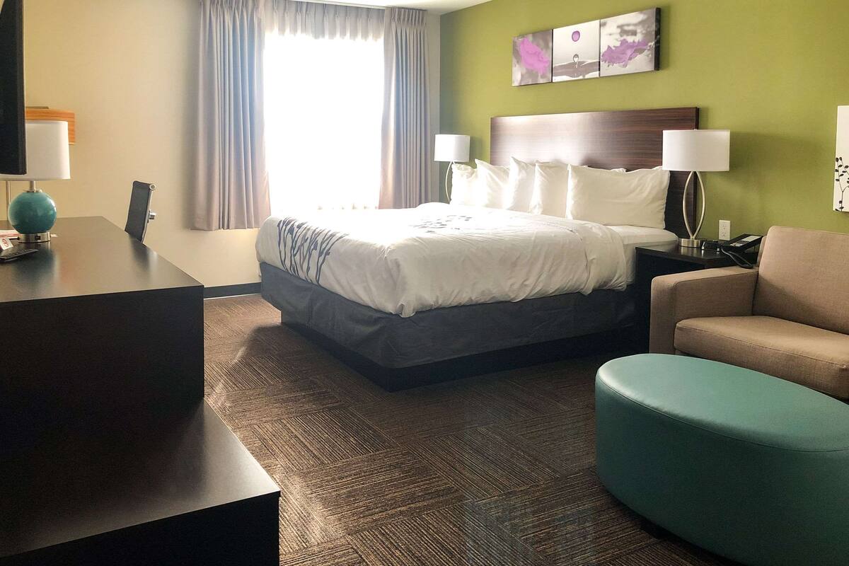 A hotel room with a large bed, a desk, a chair, and a sofa.