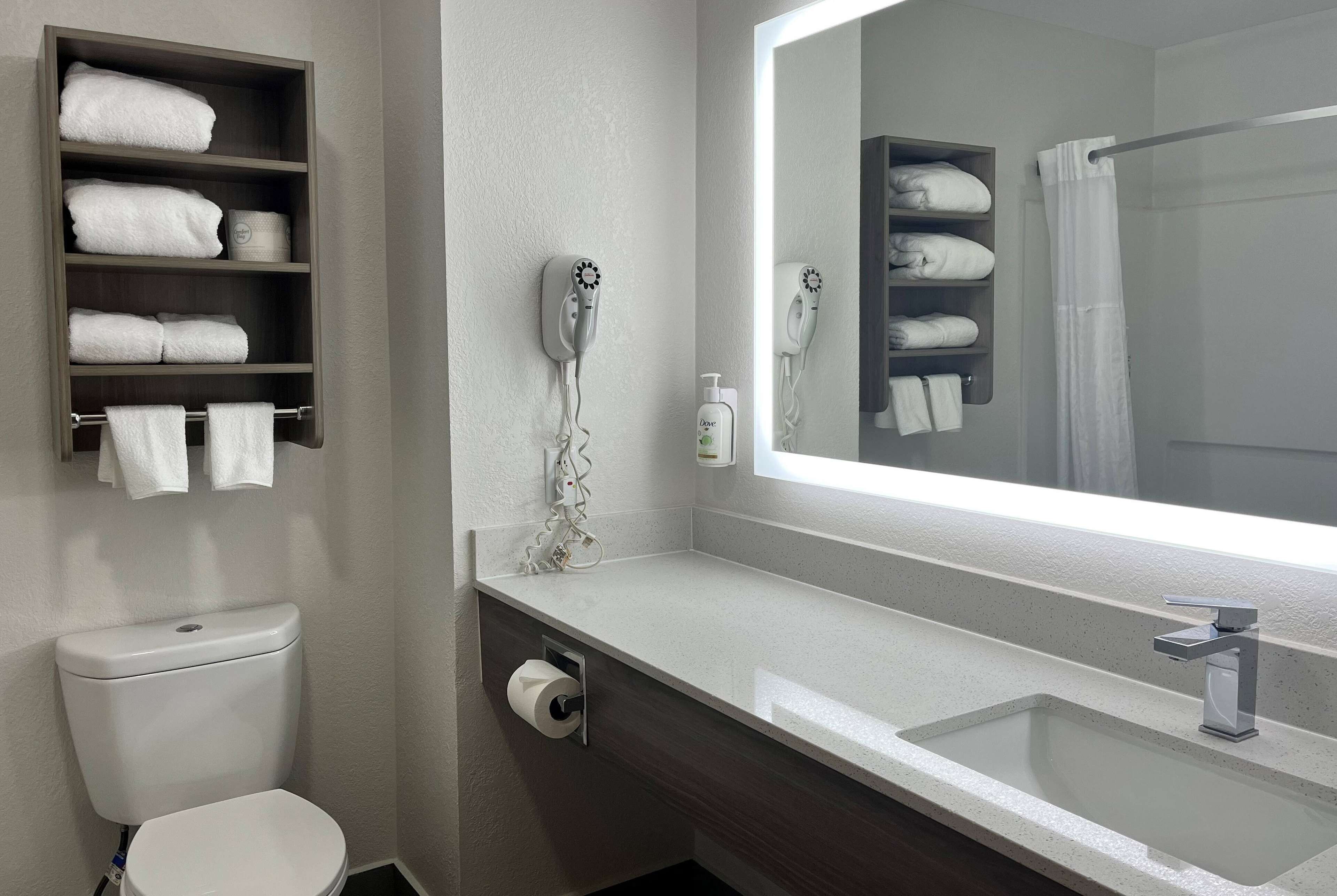 Standard Room, 1 King Bed, Non Smoking | Bathroom | Free toiletries, hair dryer, towels, soap