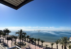 Vista da praia com palmeiras, um calçadão e mar calmo.