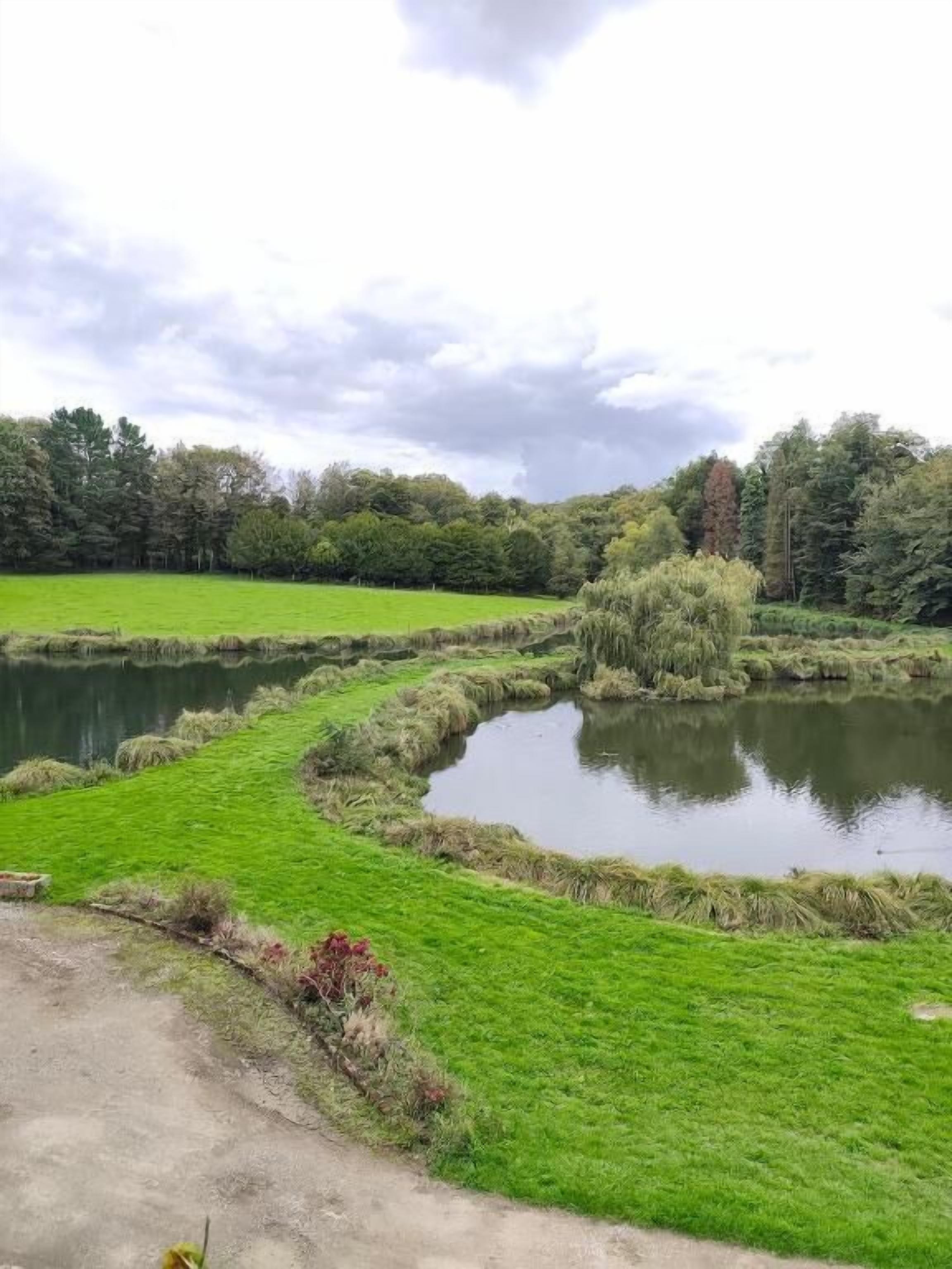 Eine natürliche Landschaft mit Teich, Grasflächen und Bäumen.