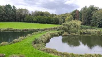 Eine natürliche Landschaft mit Teich, Grasflächen und Bäumen.