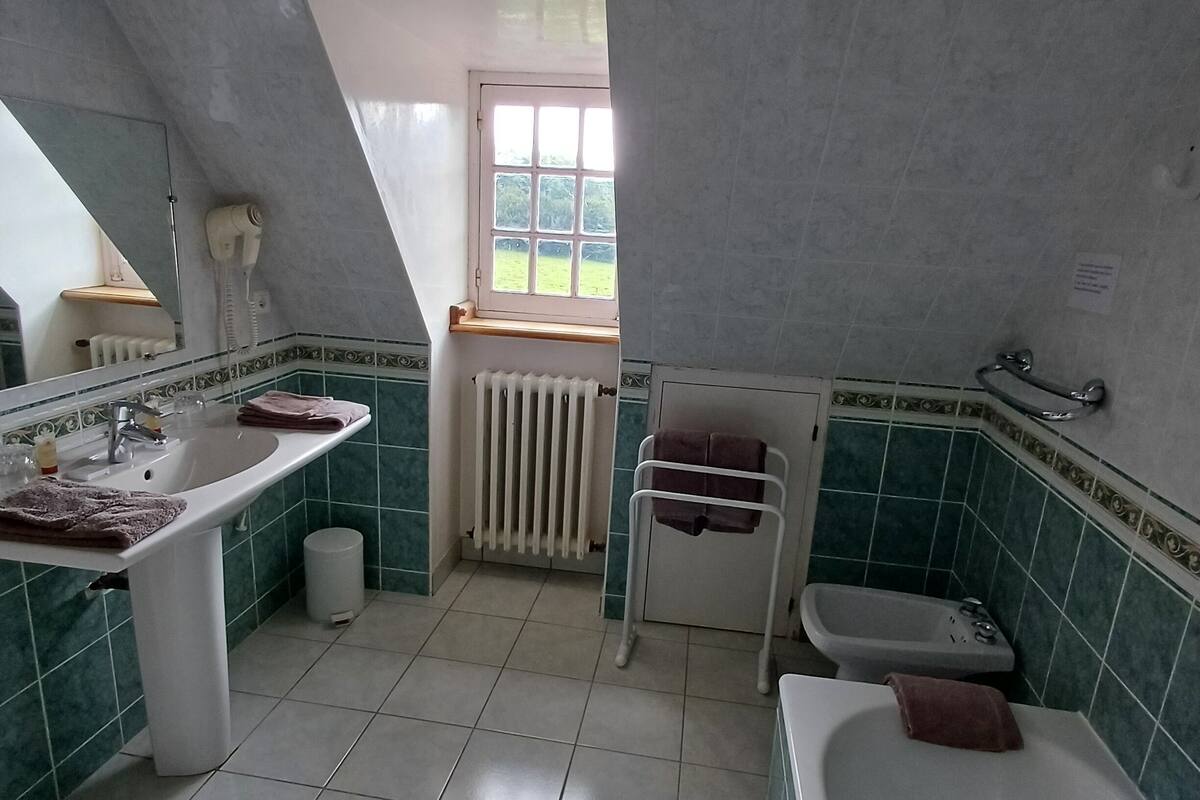 double or twin room (caractere) | bathroom | free toiletries, hair dryer, bathrobes, towels