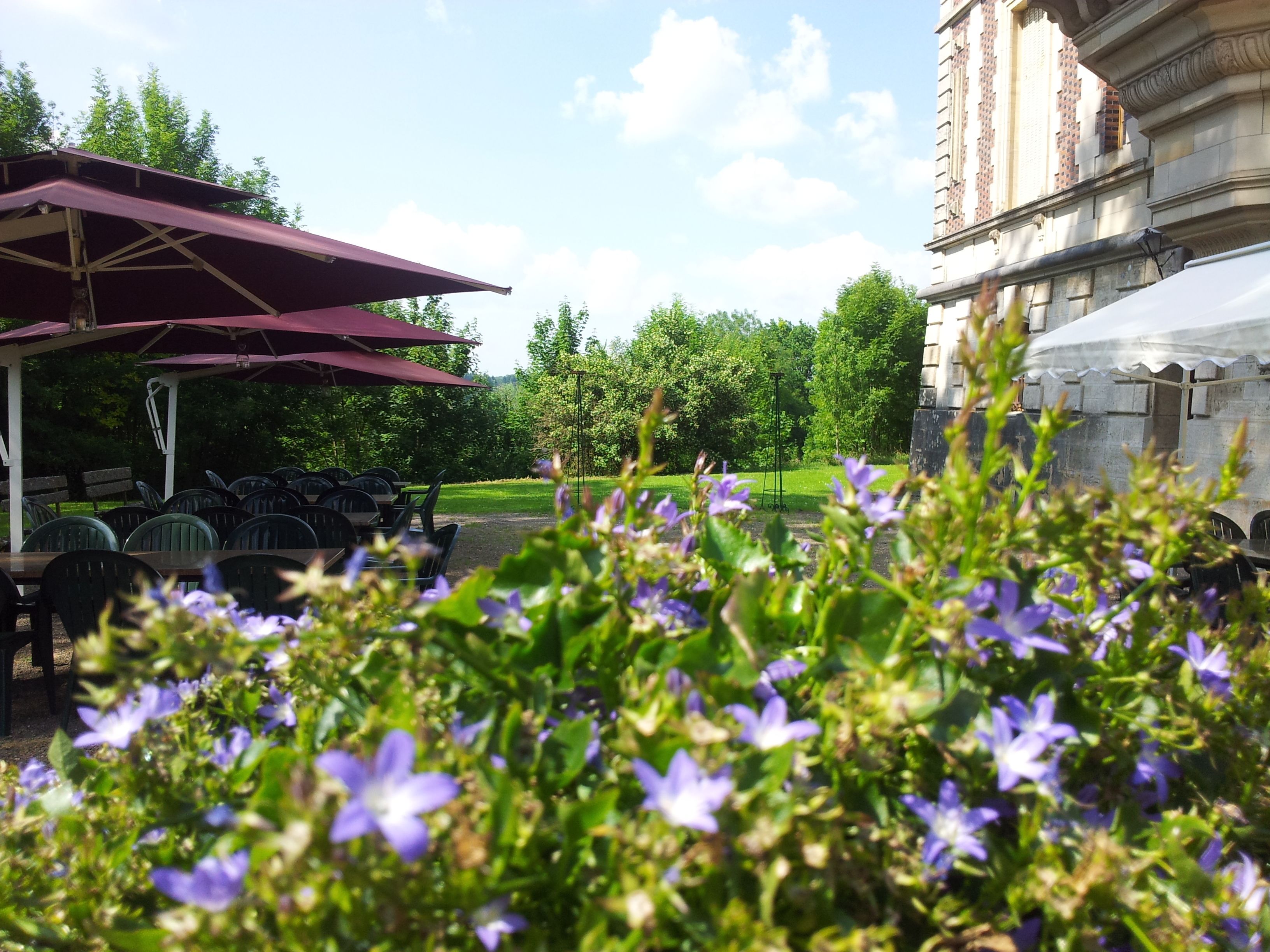 An outdoor seating area with tables and chairs under a canopy, surrounded by greenery and a building with classical architecture.