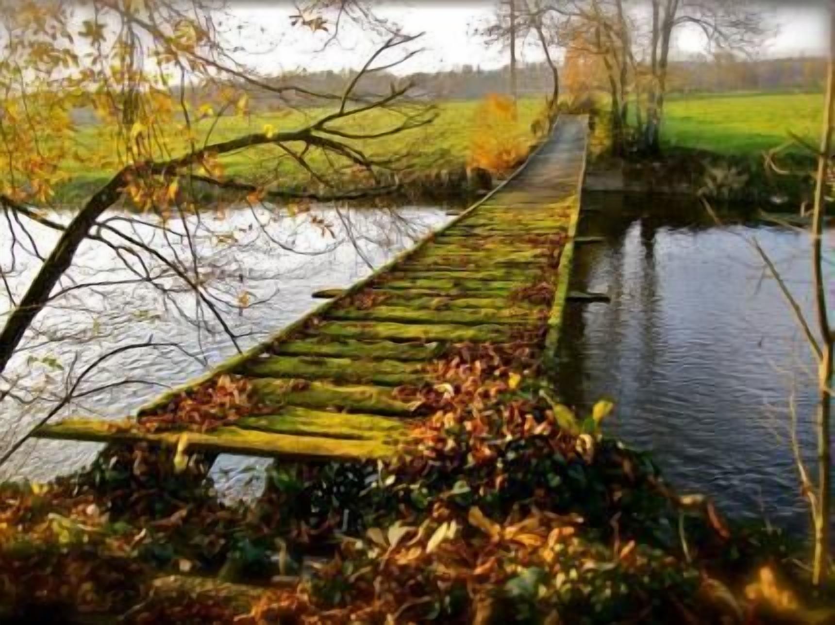 Un puente de madera rústico sobre un río tranquilo, rodeado de árboles y campos cubiertos de hierba.