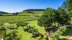 A vineyard with rows of grapevines, a small gazebo, and neatly trimmed hedges. - Villa Louise (Aloxe-Corton)