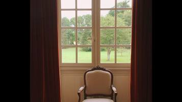 A chair positioned in front of a window with a view of a green landscape.