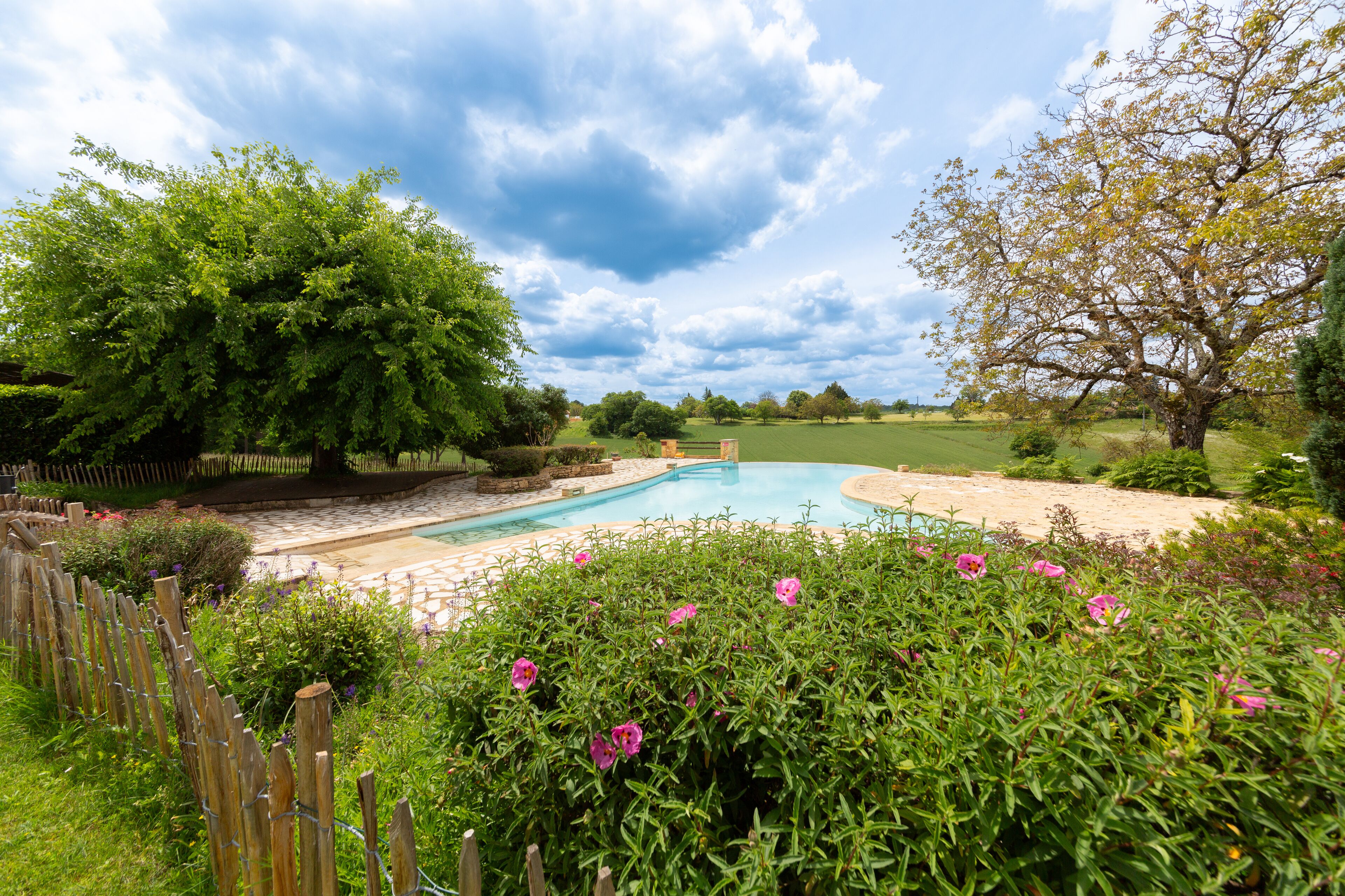 A swimming pool surrounded by lush greenery and a wooden fence.