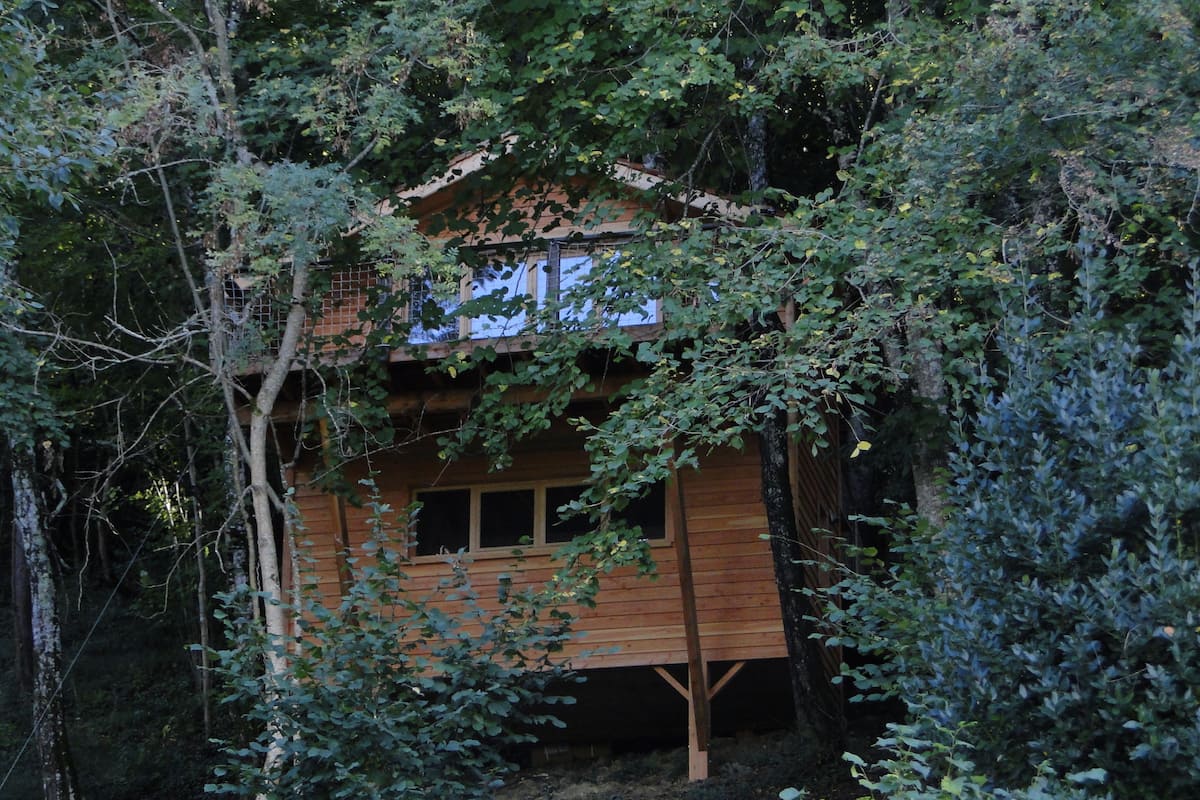 A wooden cabin surrounded by dense forest.