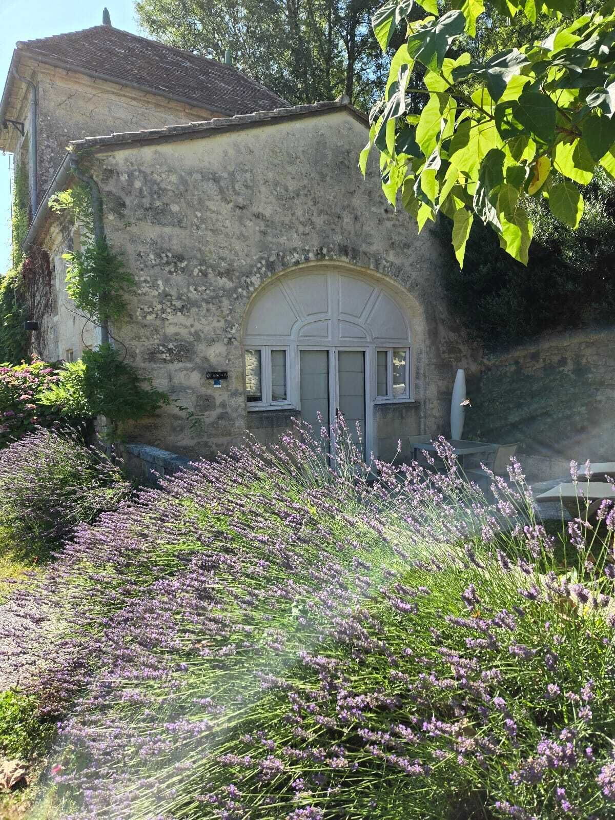 Un bâtiment en pierre doté d’une grande entrée en arc de cercle, entouré d’une végétation luxuriante et de champs de lavande.