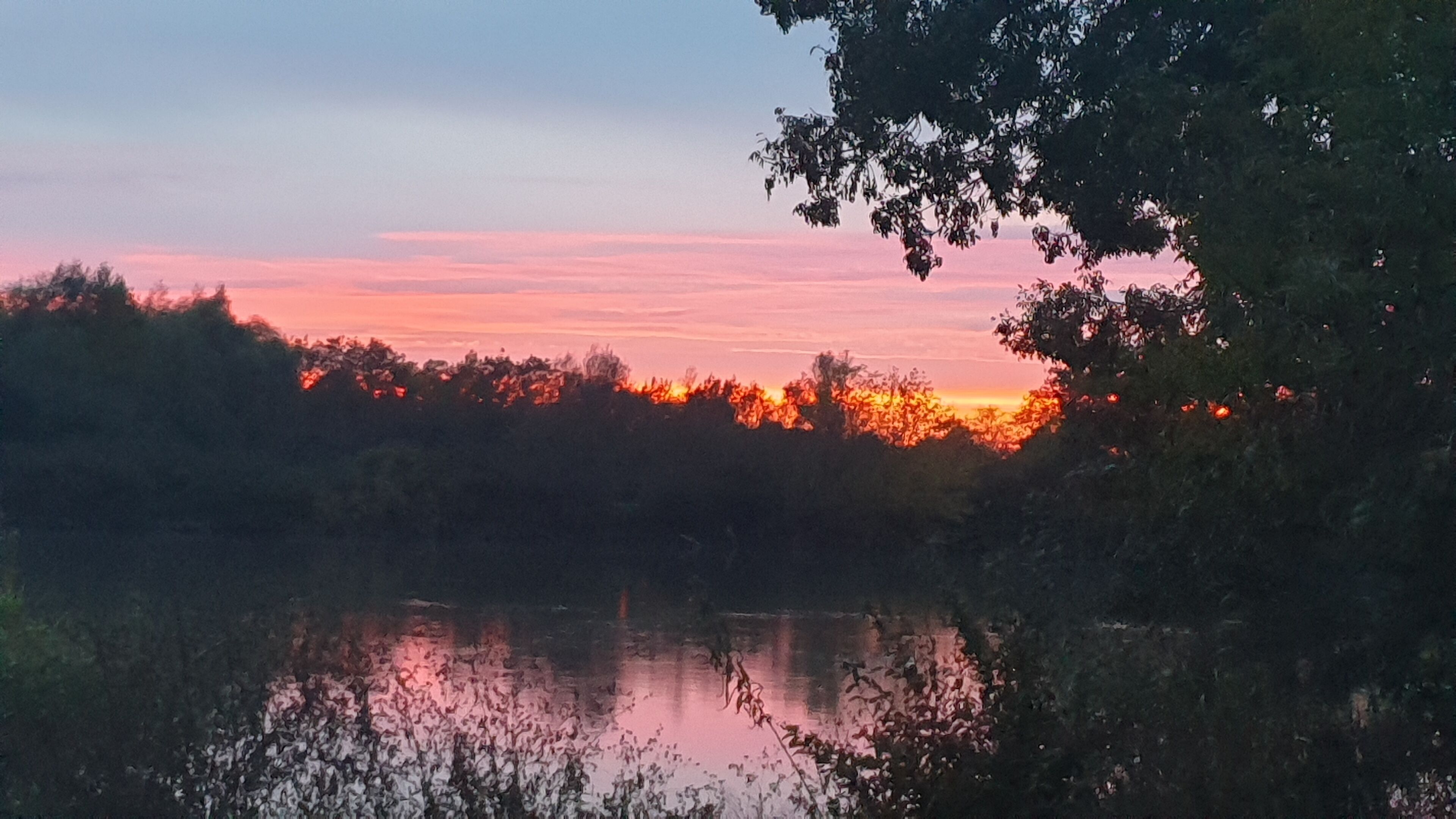 Un atardecer sobre un cuerpo de agua con árboles en primer plano.