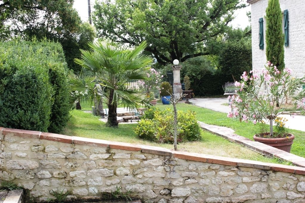 A stone wall, a palm tree, and a potted plant with pink flowers.