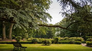 Un parc avec un banc, une pelouse bien entretenue et différents arbres.