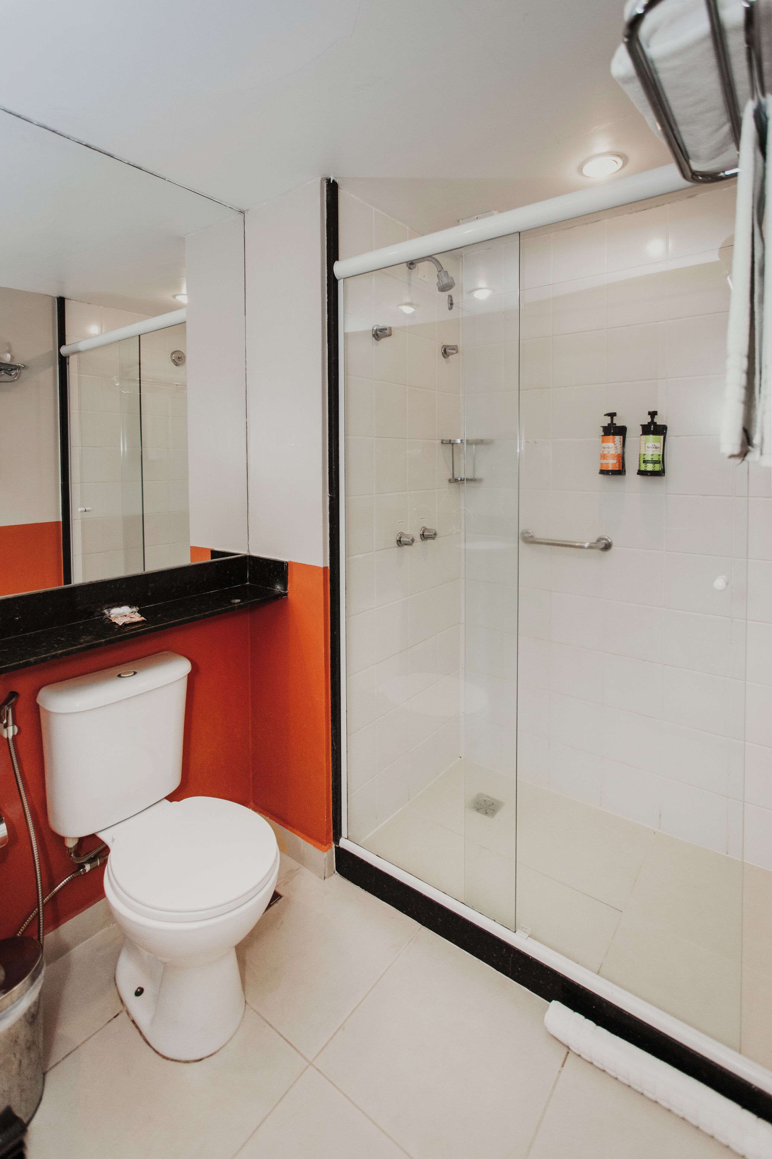 A bathroom with a toilet, a glass-enclosed shower, and a mirror.