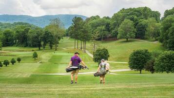 Golfers can enjoy a round on the well-maintained fairway with scenic views of rolling hills and trees.