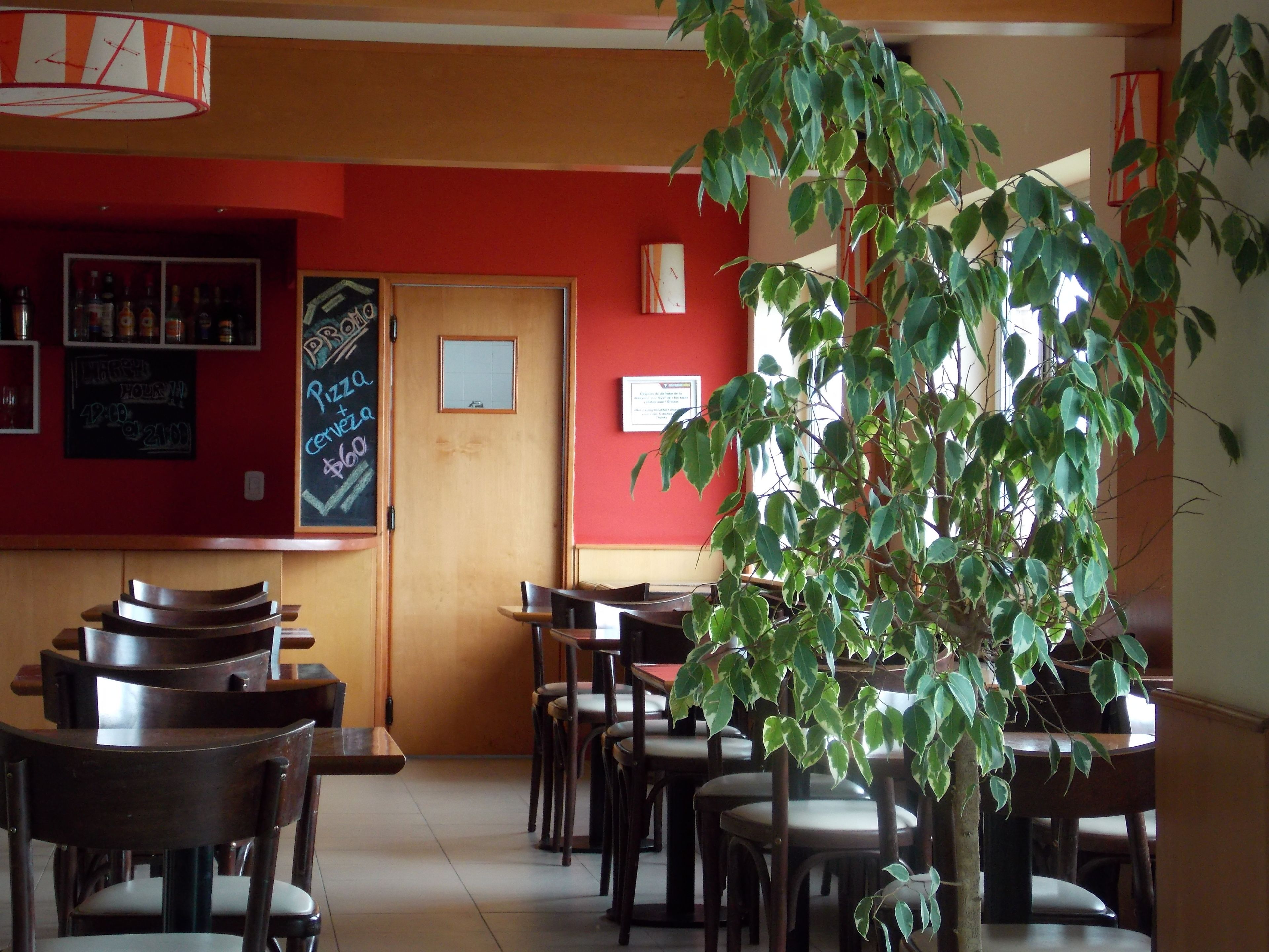 Foto - Marcopolo Suites Calafate