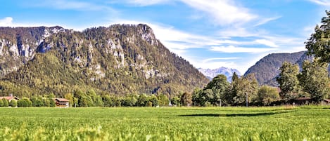 A field with a mountain in the background.