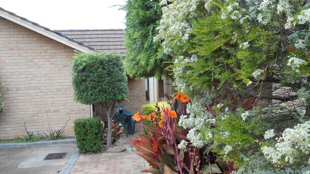 Jardines del alojamiento