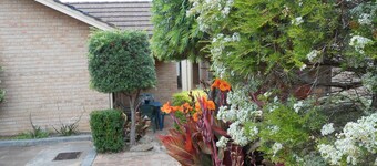 ออกัสตาส์ จอร์เจียนา มอลลอย โมเทล