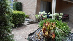 Jardines del alojamiento