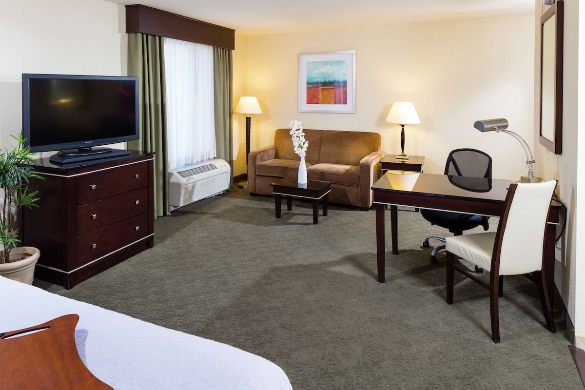 Quarto de hotel com televisão de tela plana, sofá, escrivaninha com cadeira, luminária e planta em vaso.