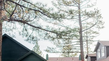 Uma fileira de casas com um caminho de pedra que leva a uma porta verde com a placa 'Noon Lodge'.