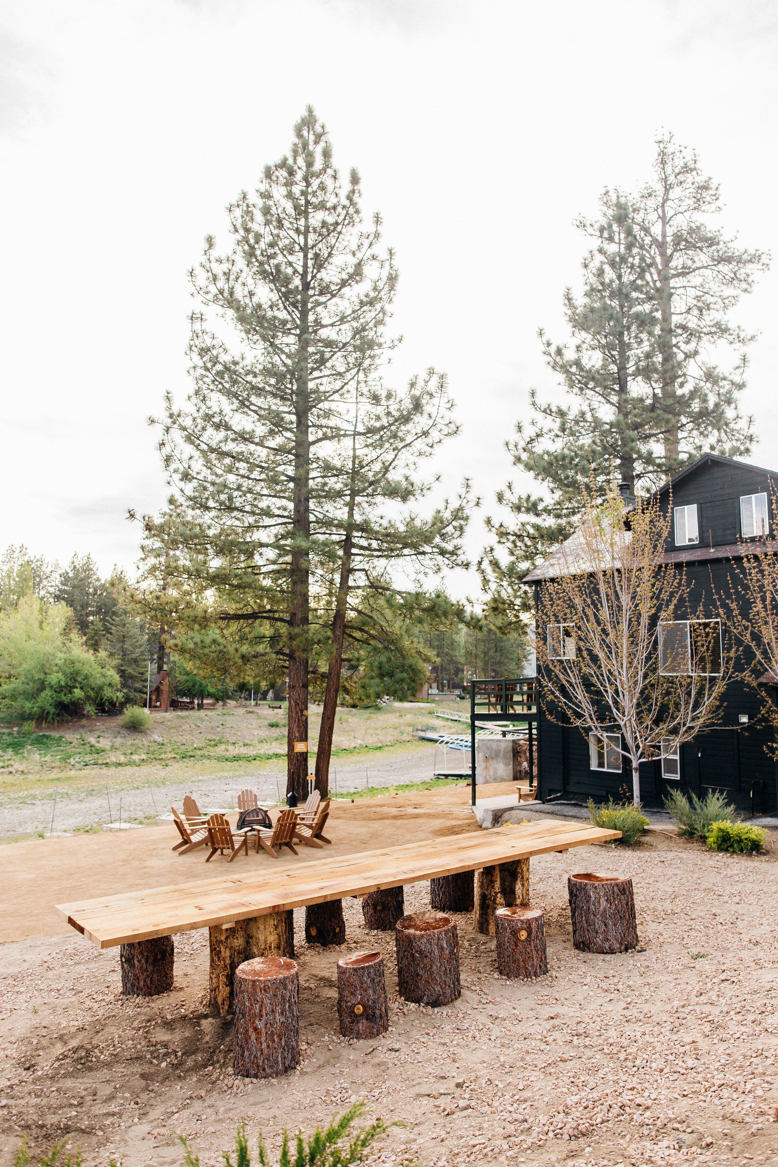 A rustic wooden table with chairs set outdoors, surrounded by tree stumps.