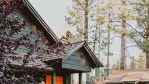 Una casa con fachada verde y puerta naranja, rodeada de árboles y un sendero de piedra.