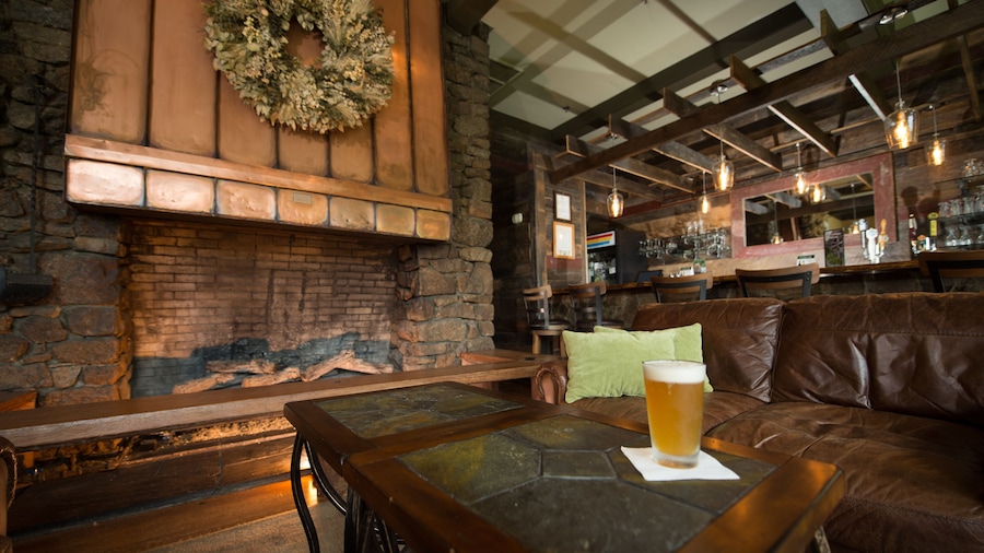 Peaks of Otter Lodge