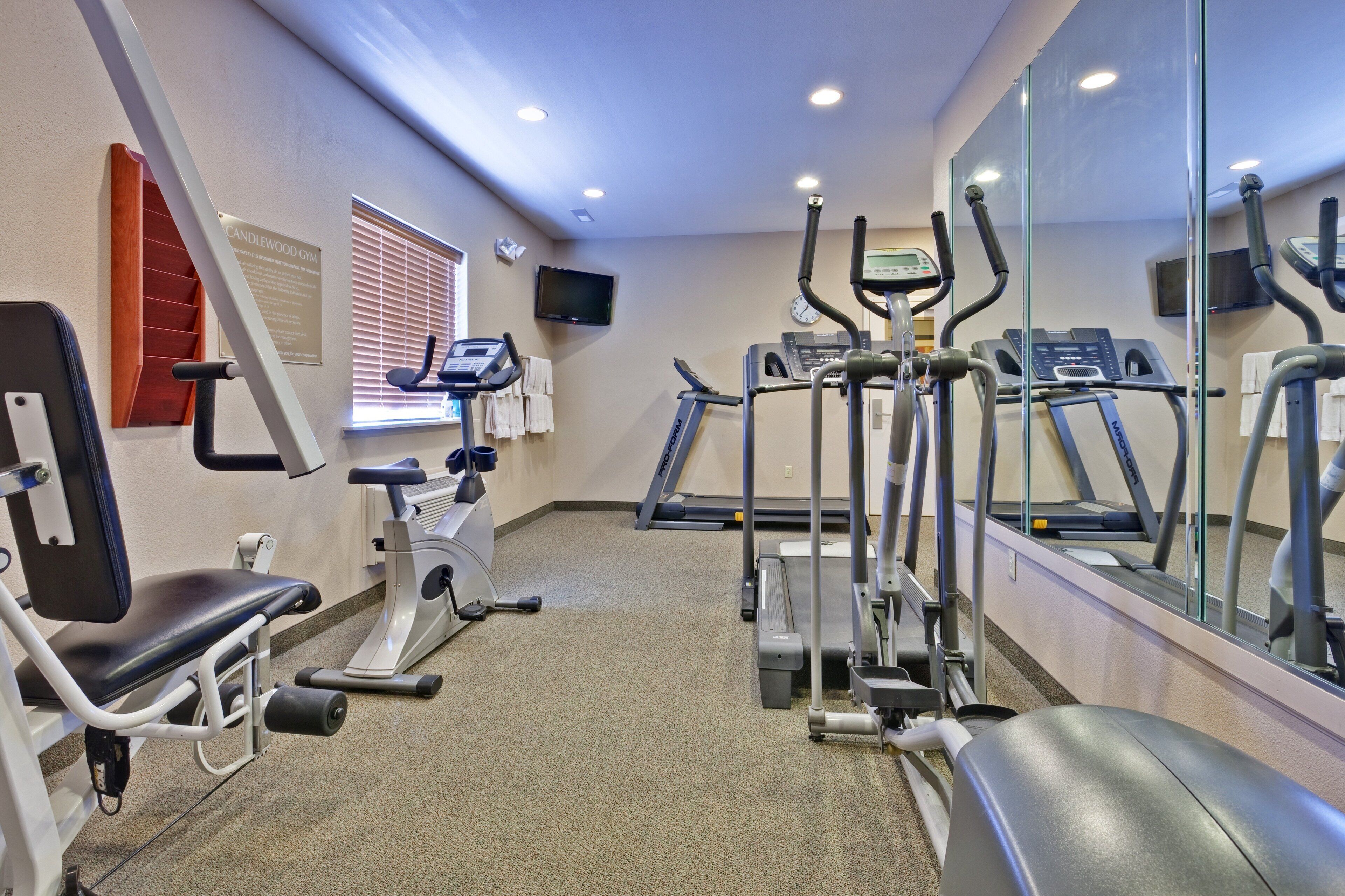 Un gimnasio con varios equipos de ejercicio, incluyendo cintas de correr, elípticas y máquinas de pesas.
