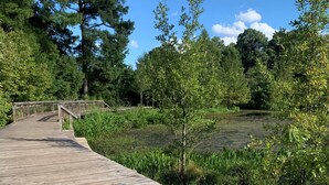 A wooden boardwalk leading through a wooded area with a pond. - Candlewood Suites Conway by IHG (Conway)