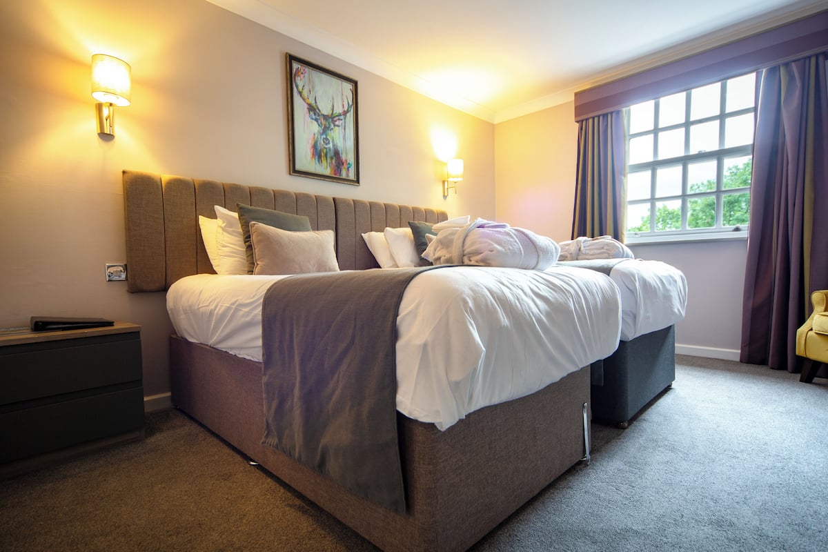 Deluxe Twin Room | 1 bedroom, desk, iron/ironing board, free WiFi