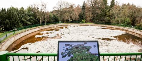 A map on a fence at a park with a pond covered in ice.