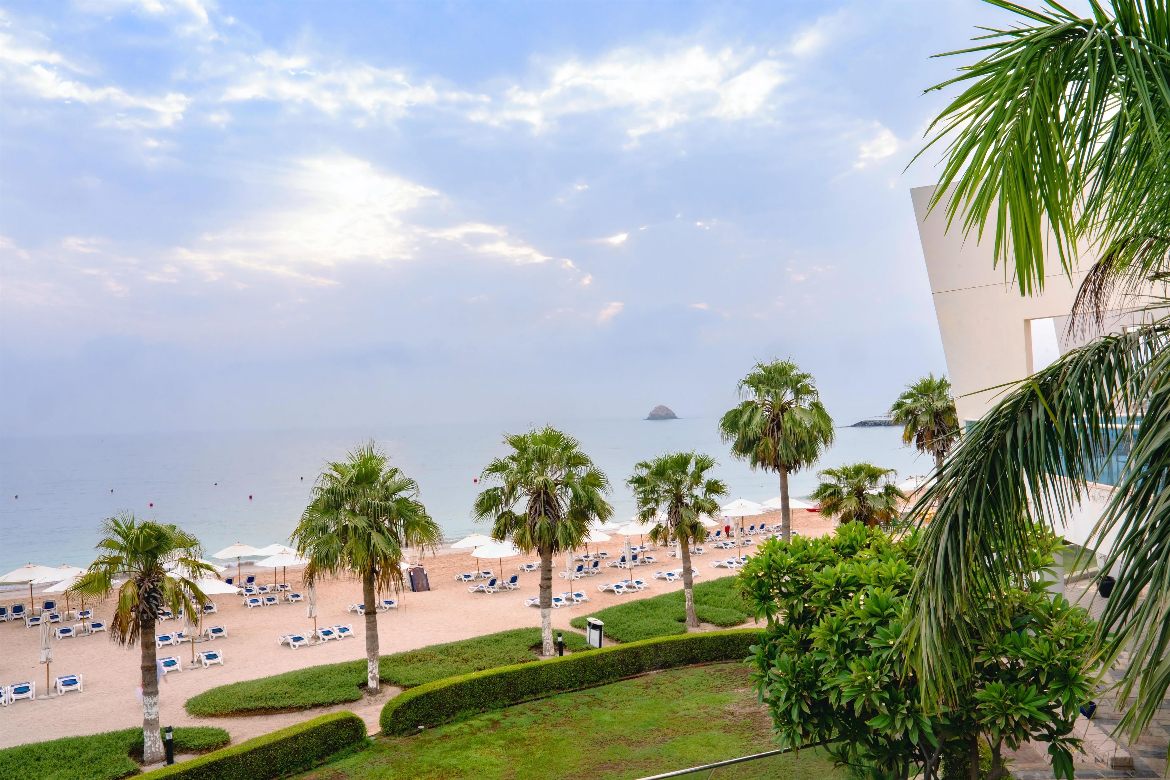 A beach with sun loungers and palm trees, overlooking the sea.
