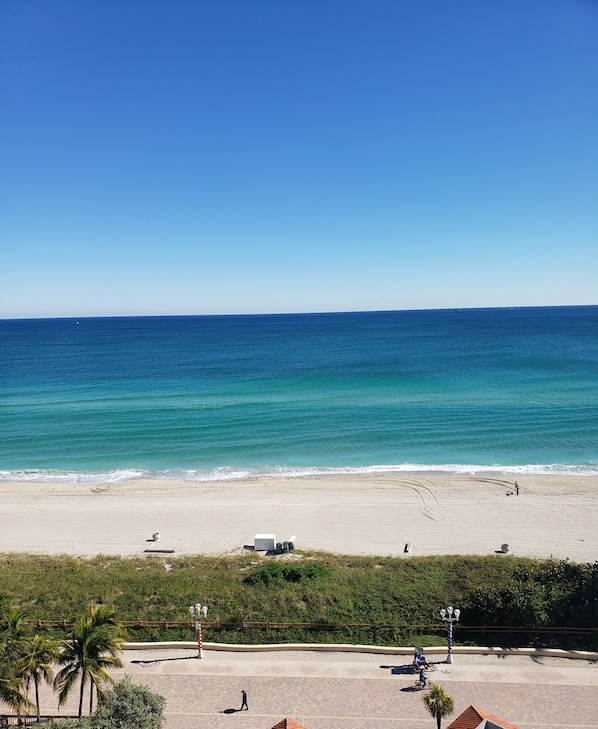 On the beach - Hollywood Beach Tower (Hollywood)
