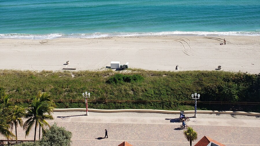 Hollywood Beach Tower