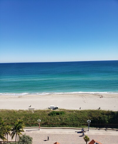 Hollywood Beach Tower